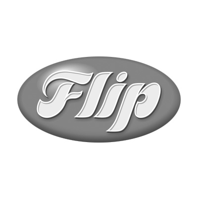 FlipFesta